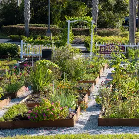 The resident garden at Camden Westchase Park.