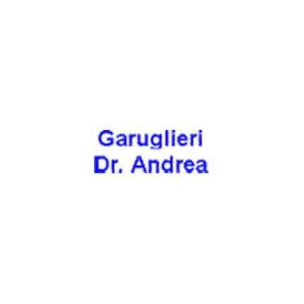 Logo de Garuglieri Dr. Andrea Geologo