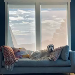 Bild von Stoneside Blinds & Shades Parker