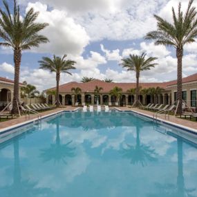 resort-style pool with sun deck at The Atlantic Palms at Tradition