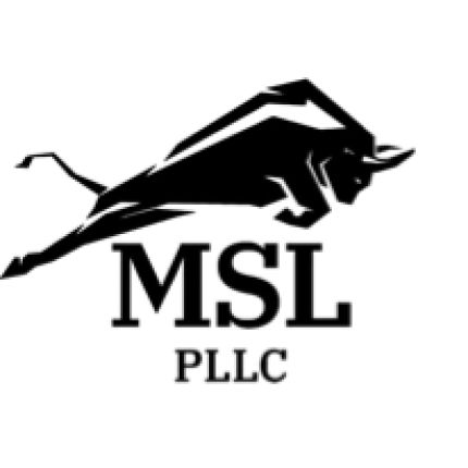 Logo from The Law Offices of Michael S. Lamonsoff, PLLC