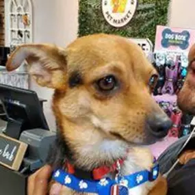 GiGi's Pet Market is a locally owned family operated business in Florida. We are a one-stop pet store offering a personalized customer experience to every visitor that walks through our door.