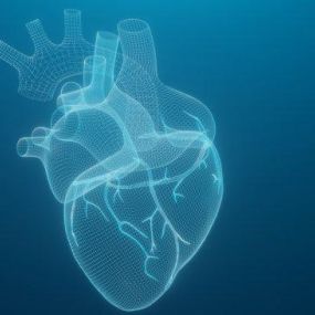 Laurelton Heart Specialists is a Cardiologist serving Rosedale, NY
