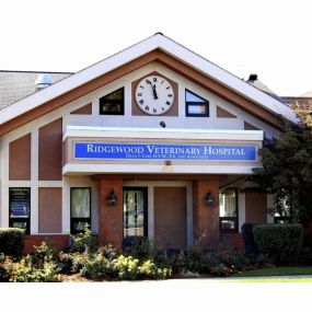 Welcome to VCA Ridgewood Veterinary Hospital!