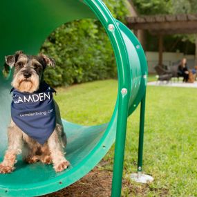 Onsite private dog park with seating