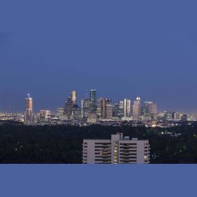 View of downtown houston from community