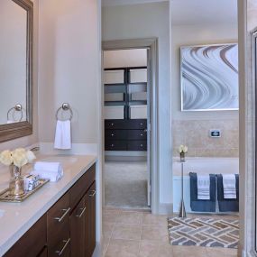 Bathroom with double vanity sink separate bathtub and glass enclosed shower and walk in closet