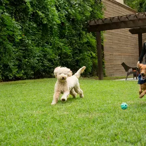 Large landscaped onsite private dog park