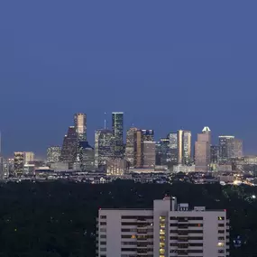 View of downtown houston from community