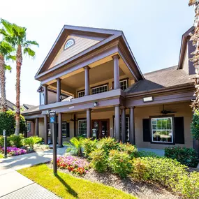 Bild von Aventura on Briar Forest