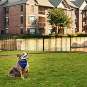 Private onsite dog park