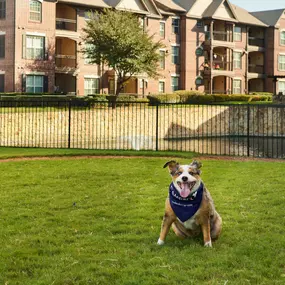 Fenced onsite dog park