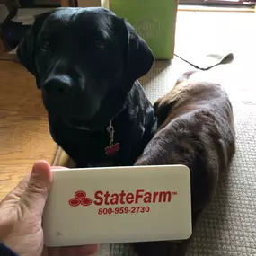 State Farm pups smiling with their State Farm treat