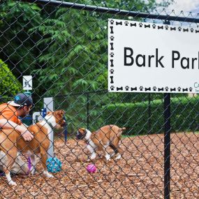 Private onsite dog park