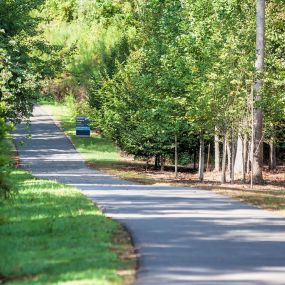 Torrence Creek Greenway near Camden Sedgebrook