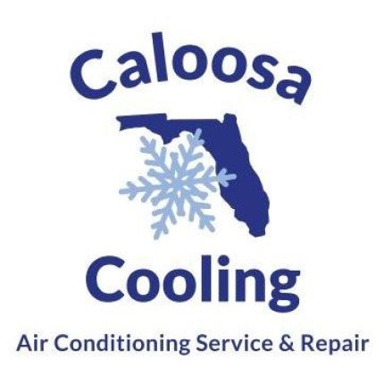 Logo from Caloosa Cooling LLC