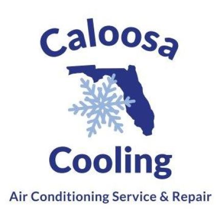 Logo from Caloosa Cooling