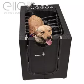 Microbubble Therapy Pet Spa