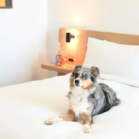 Bild von Hotel June West LA