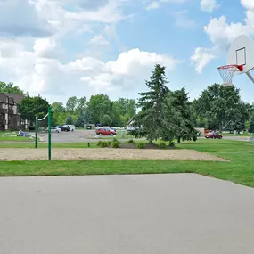 Basketball Court