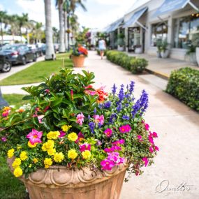 Bild von Quattro at Naples Square