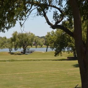 Golf Course Views