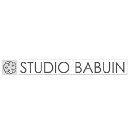 Logo da Babuin Rag. Andrea