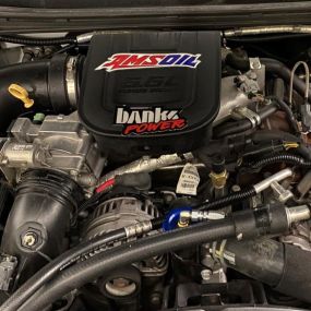 Bild von AMSOIL - Ashlyn Synthetics