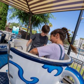 Guests Riding Tea Cups