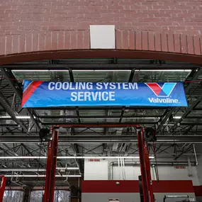 Bild von Tire Discounters