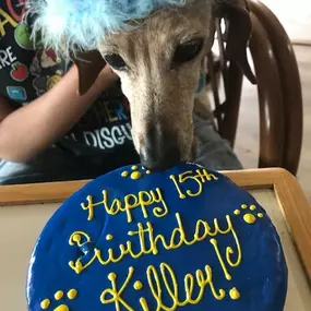 Bild von Woof Gang Bakery and Grooming Sugar Land