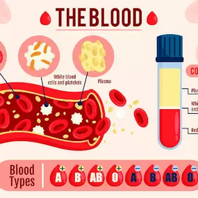 Bild von QuikDraw Phlebotomy School LLC