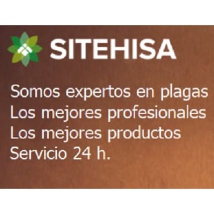 Logo de Desinfecciones Sitehisa