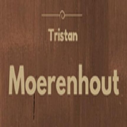 Logo de Tristan M Menuiserie by Tristan Moerenhout