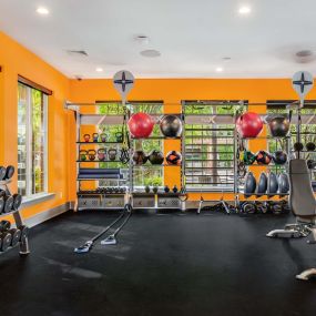 Fitness center with free weights medicine balls trx ropes and boxing bag