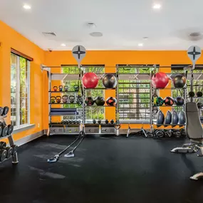 Fitness center with free weights medicine balls trx ropes and boxing bag