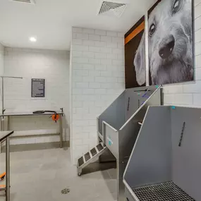 Indoor dog washing area