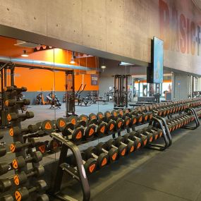 Basic-Fit Nieuwegein Graaf Florisweg - free weight zone