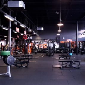 Basic-Fit Groningen Westerhaven 24/7 - free weight zone