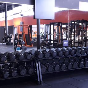 Basic-Fit Groningen Westerhaven 24/7 - free weight zone