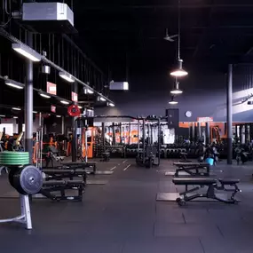 Basic-Fit Groningen Westerhaven 24/7 - free weight zone