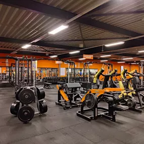 Basic-Fit Eindhoven Vijfkamplaan 24/7 - strength zone