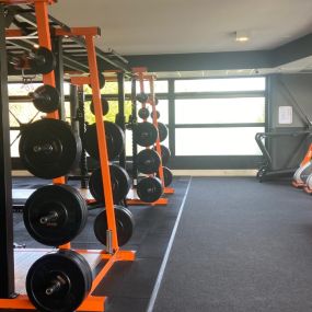 Basic-Fit Apeldoorn Schorpioenstraat 24/7 - free weight zone