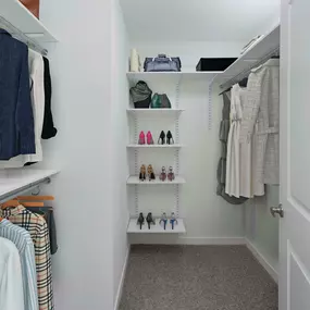 B1 Floor Plan Walk-In Closet with Shelving at Camden Lake Eola apartments in Orlando, FL