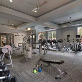 Midtown fitness center with cardio equipment and free weights