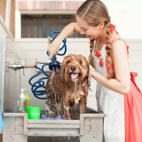 Midtown pet friendly onsite dog park with agility course and pet wash station