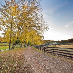 Bild von Winding Creek Stable