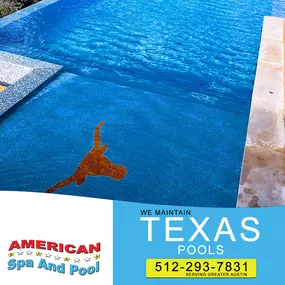 Austin pool cleaners, American Spa And Pool.