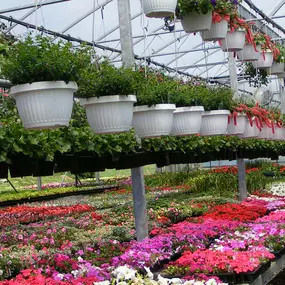 Bild von Freed's Greenhouse & Nursery