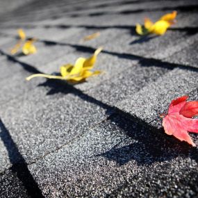 Fall is a great time to have your roof inspected!